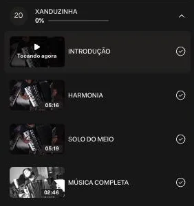 Lista de aulas de Xanduzinha na área de membros: introdução, harmonia, solo do meio e música completa